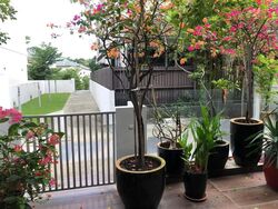 Jalan Lim Tai See (D10), Terrace #573022701